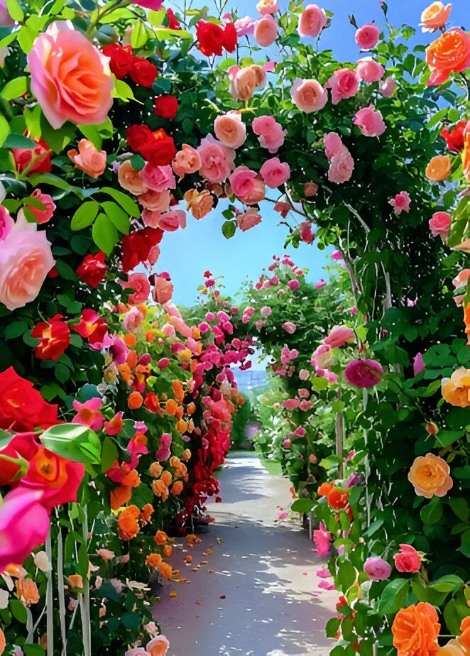 Elegant Climbing Rose Flower Seeds